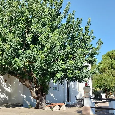 Bed and breakfast Casa Mas Montanas *