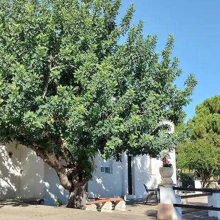 Alojamento de Acomodação e Pequeno-almoço Casa Mas Montanas 3*